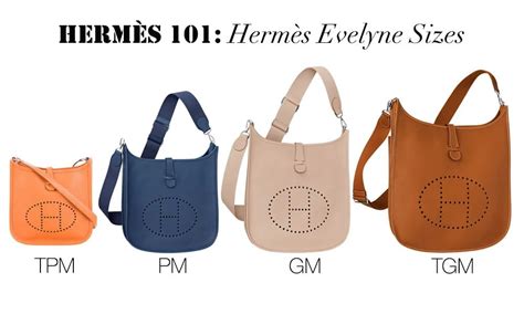 hermes evelyne 2 vs 3|Hermes evelyne 101 price.